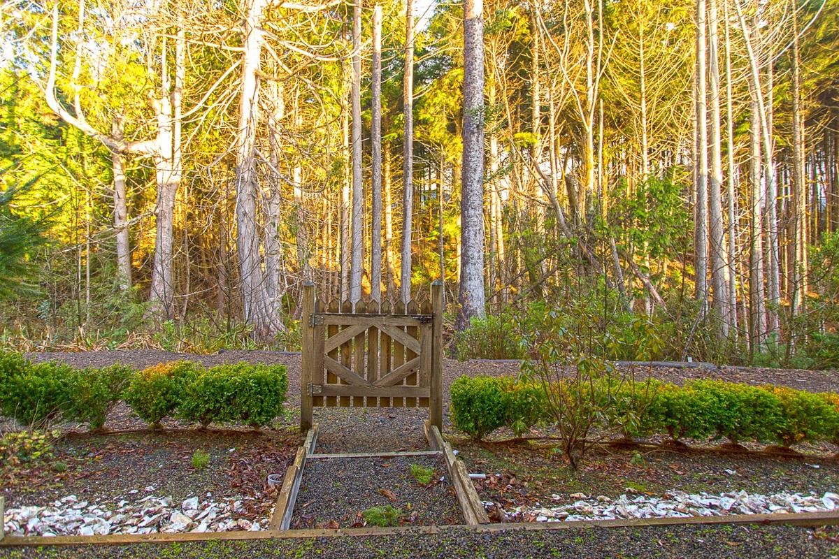 Forest and trail behind Our Otter Home