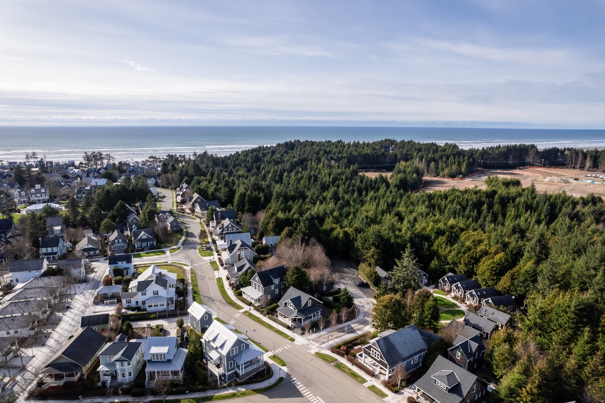 Ariel view close to the ocean