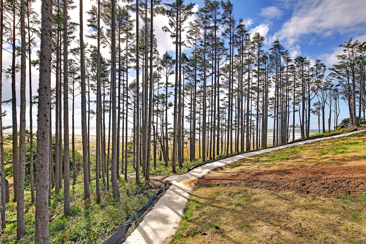 Trail to the ocean