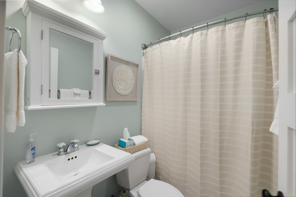 Full guest bathroom downstairs