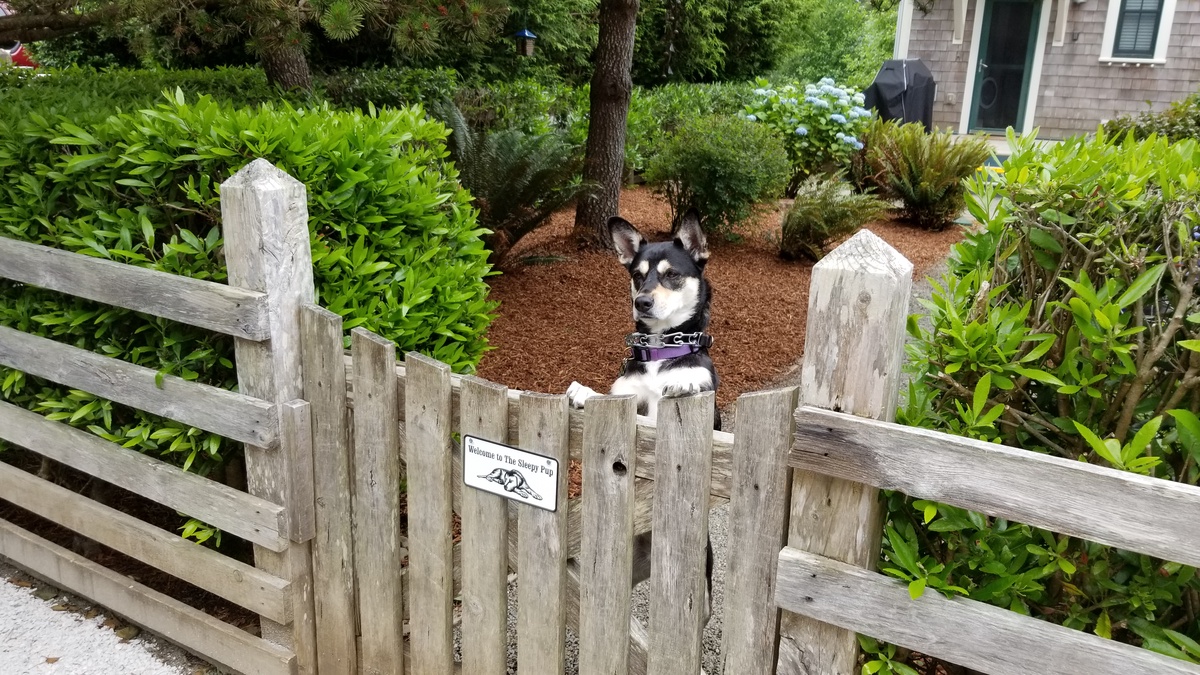 Fenced-in private yard