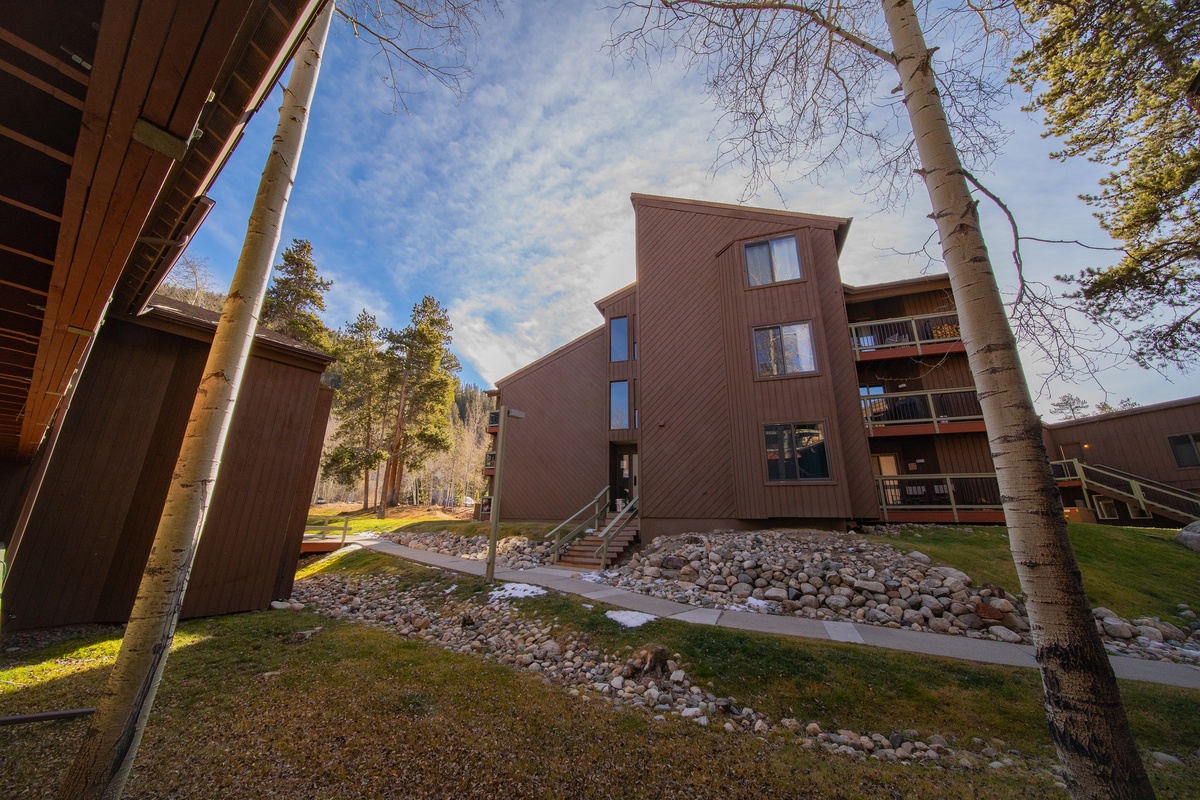 Neighborhood views #fall