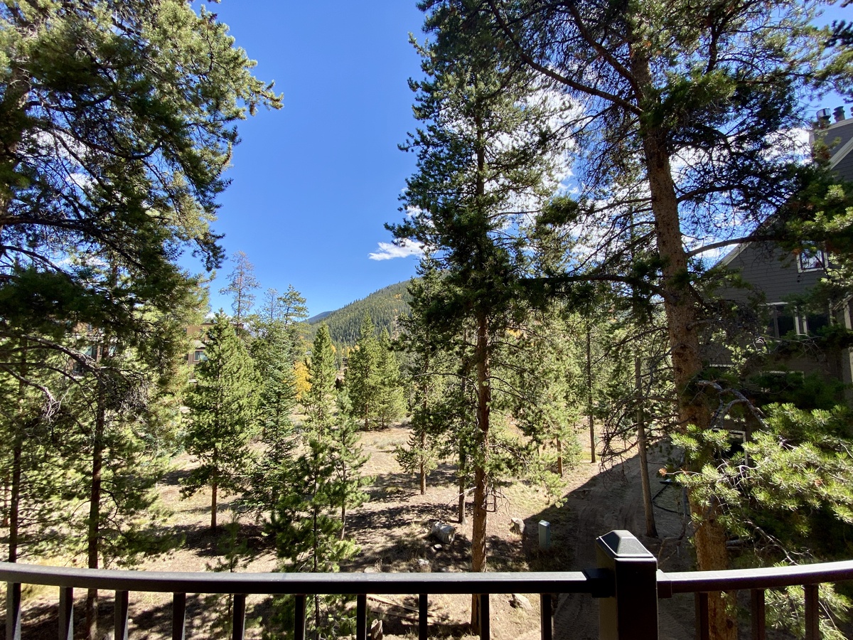 Summer / Fall view #summer