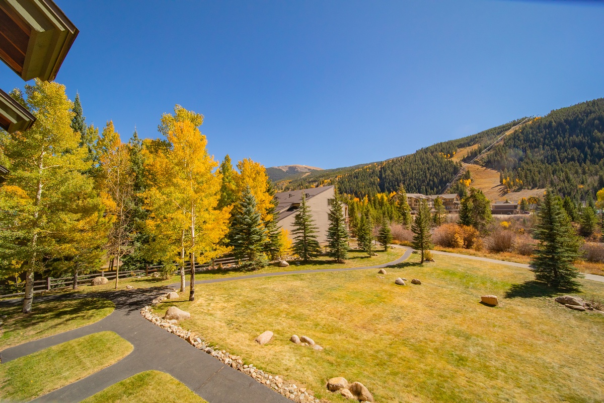 Private balcony view! #fall