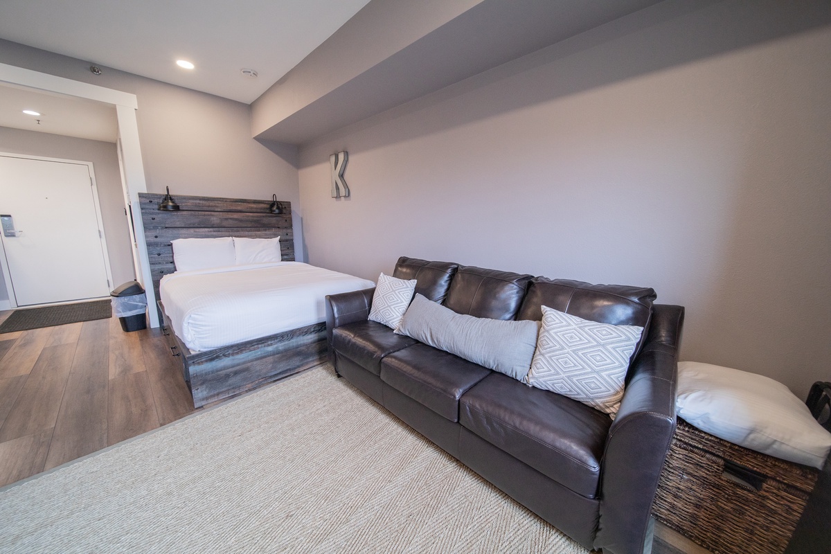 Comfy couch and large bed