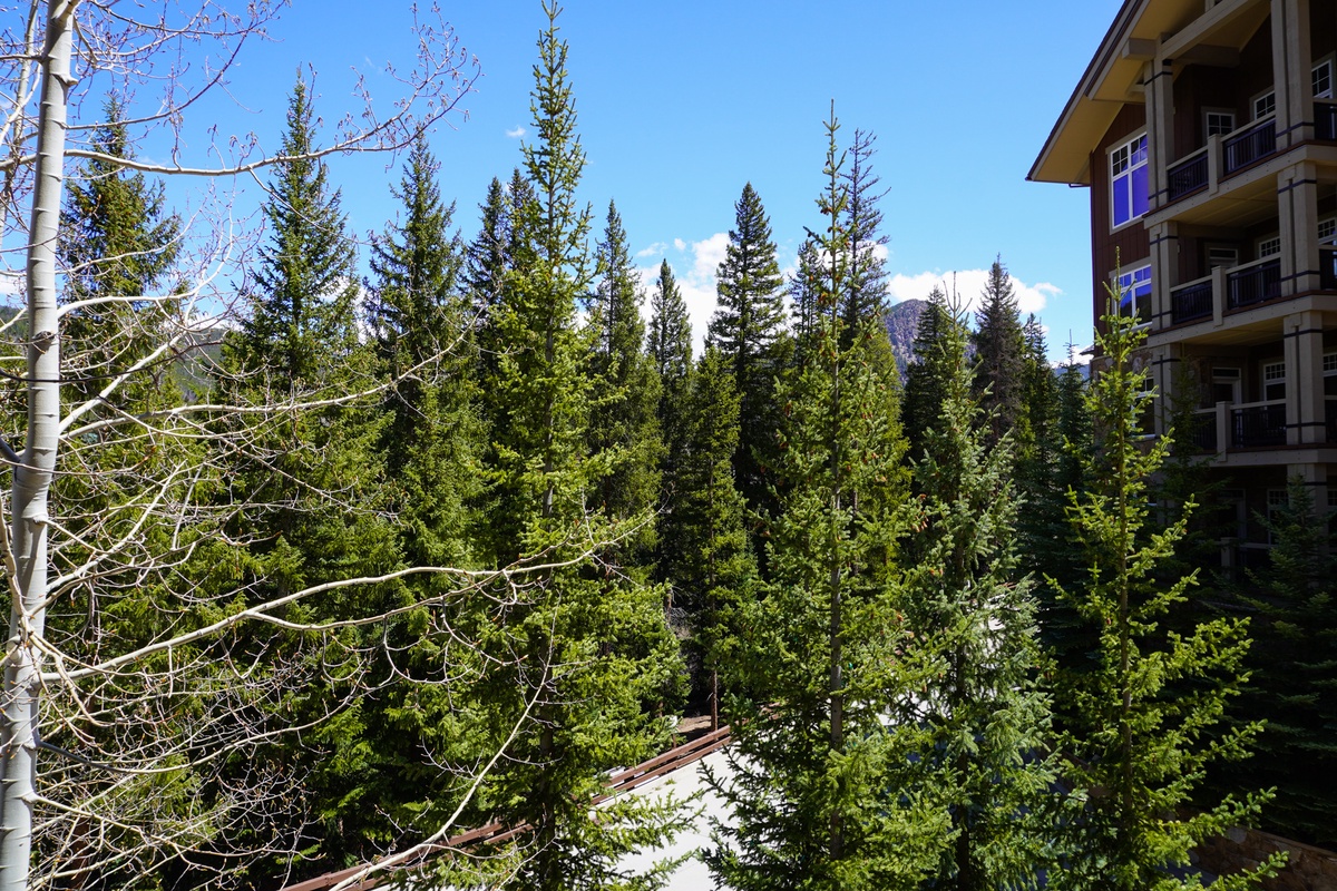 Upper level balcony views! #summer