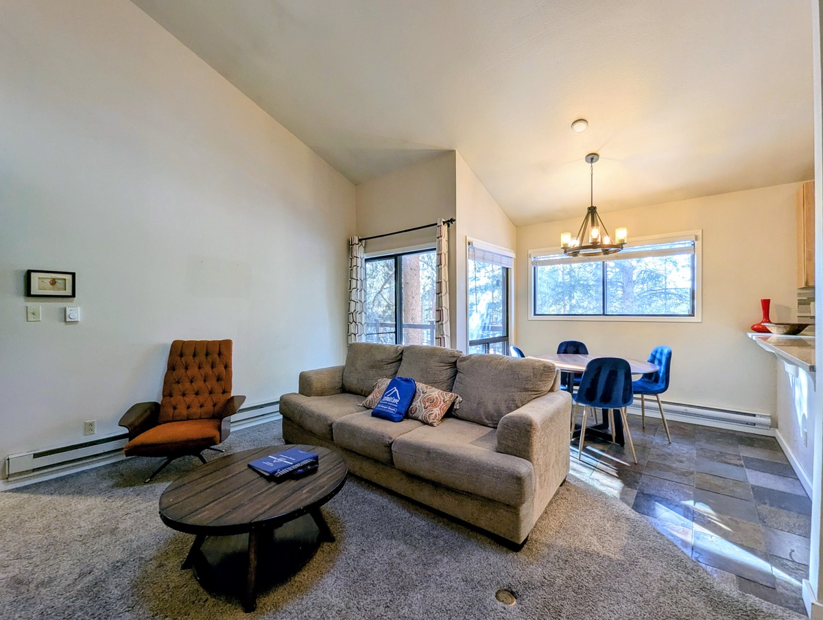 Flying Dutchman 1106