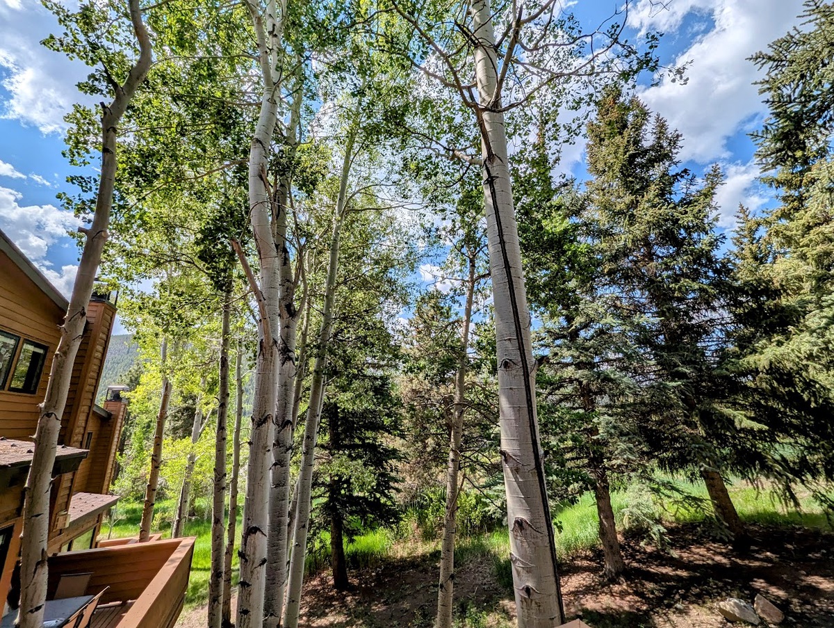 Private balcony view #summer