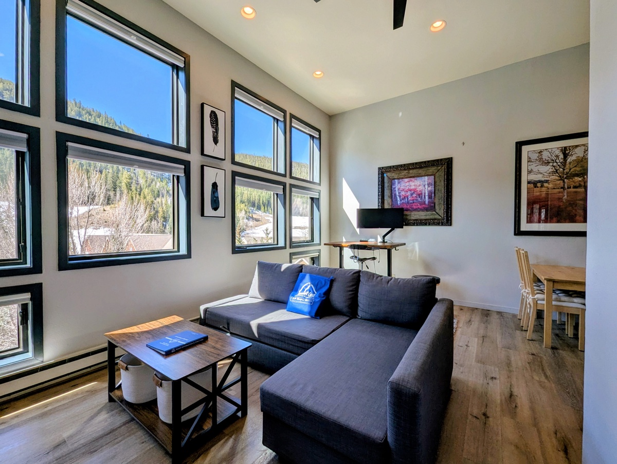 Lounge here after a full day in the CO mountains!