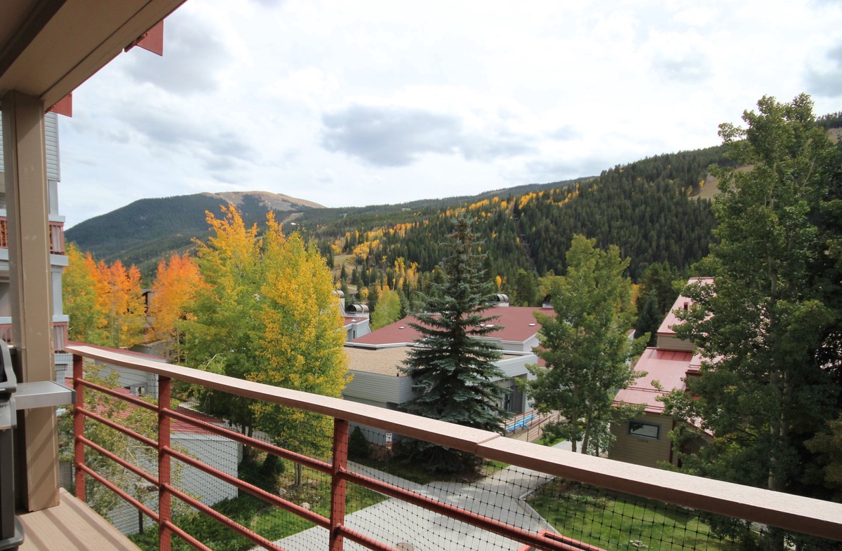 Spectacular view from the balcony #fall