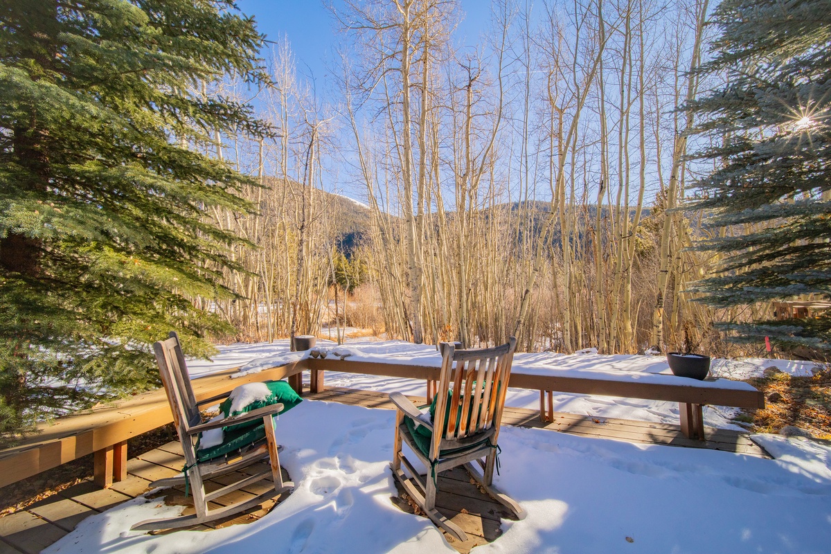 Private deck with unobstructed forest views! #winter