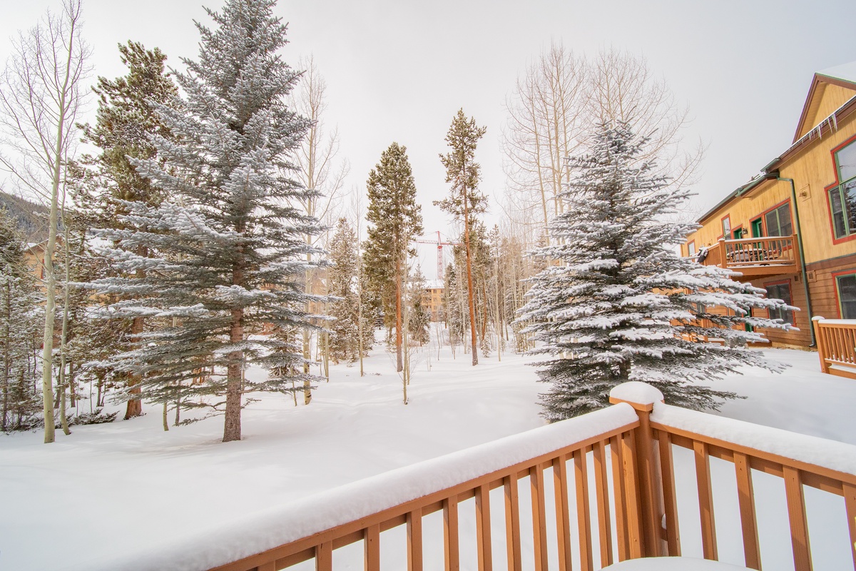 Private deck with neighborhood and CO landscape views #winter