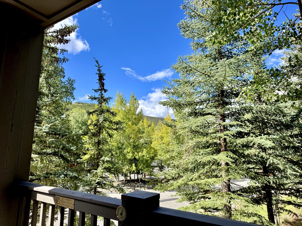 Beautiful Views from the Balcony #summer