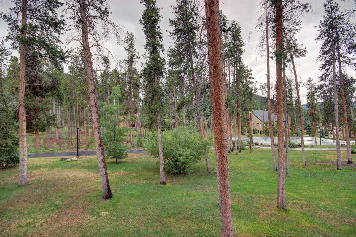 Balcony view #summer