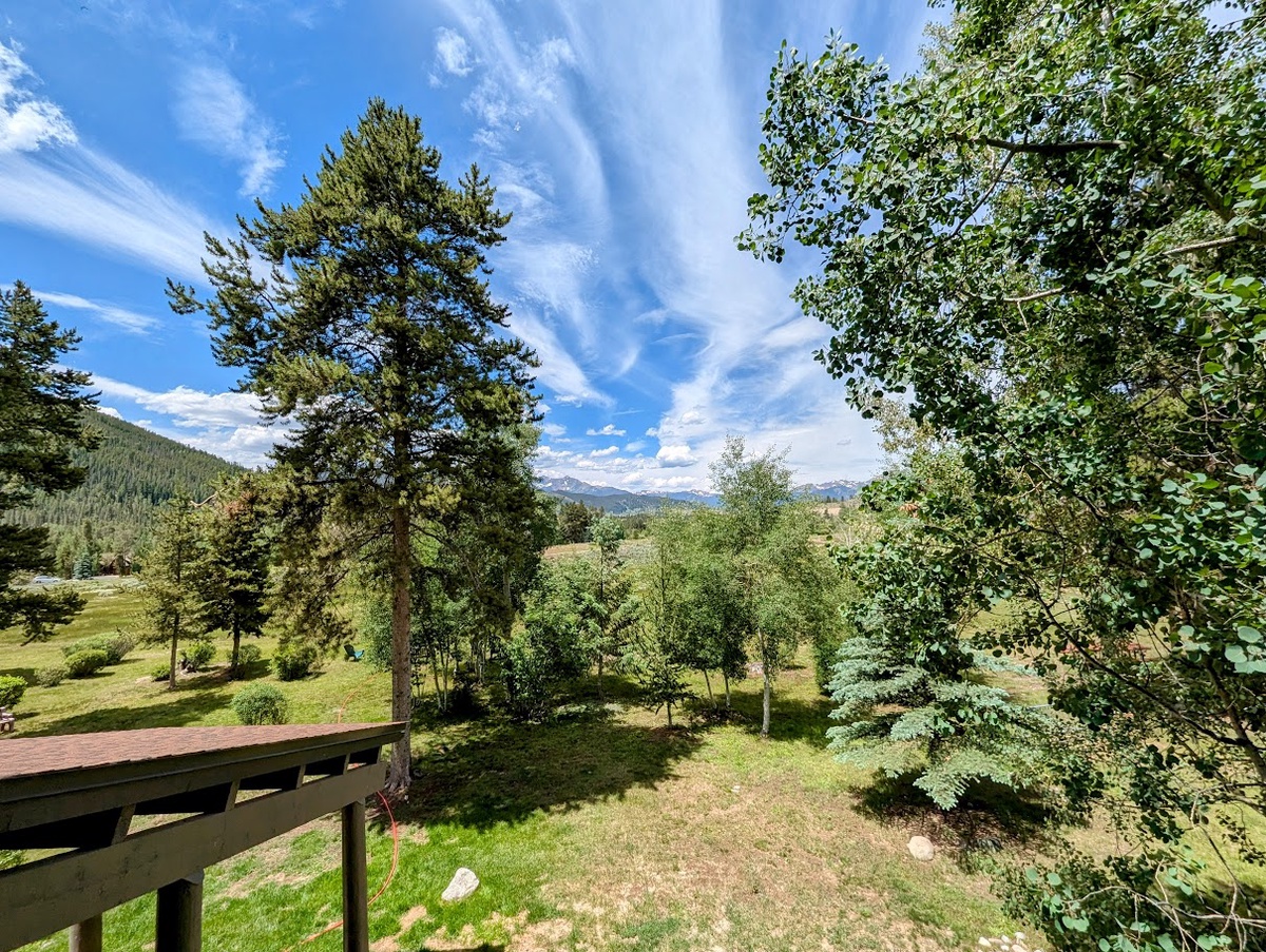 Blue bird skies and mountain views #summer