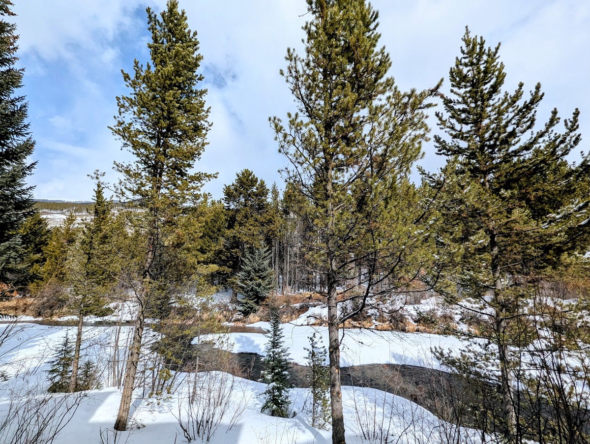 Balcony View - Snake River #winter