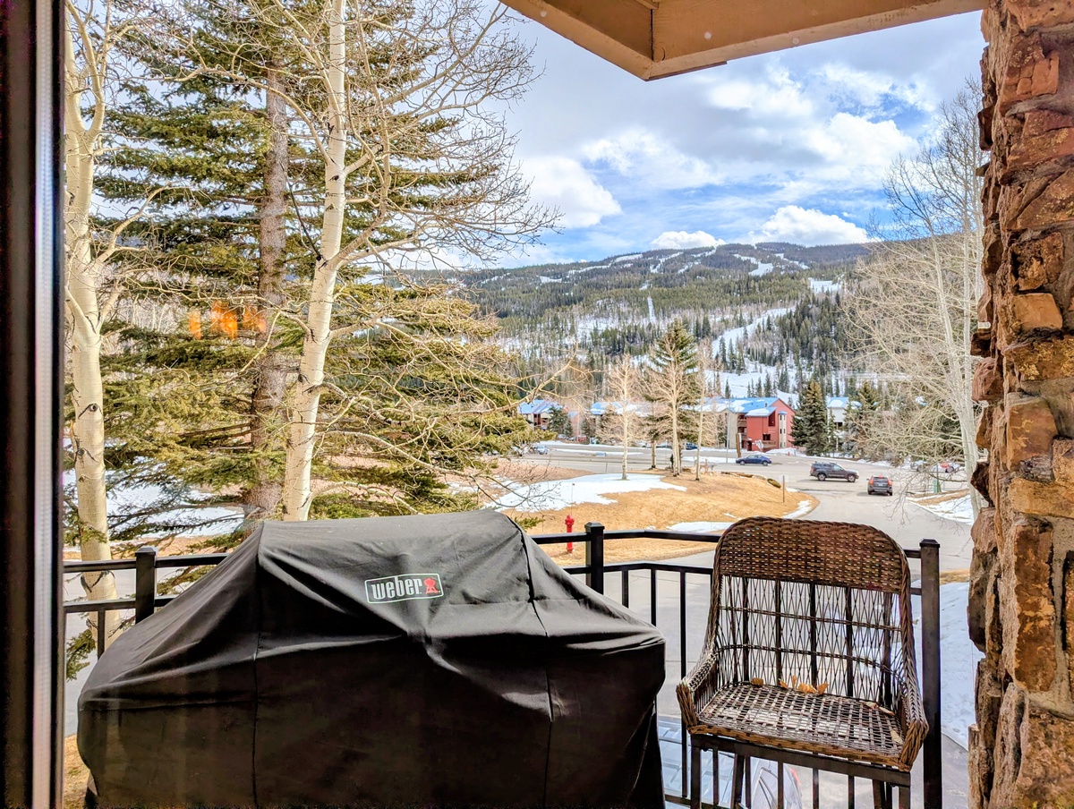 Step onto your private balcony and breathe in crisp mountain air while gazing at snow-capped peaks and pine forests stretching endlessly before you.