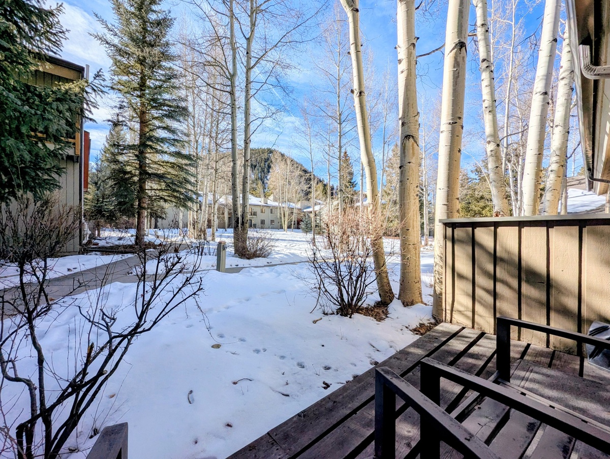 Snow-covered grounds featuring towering aspen trees and mountain views create a peaceful winter setting at the property.