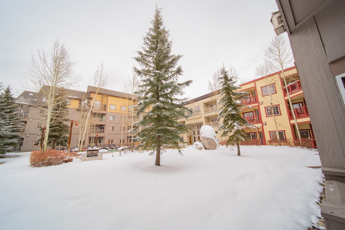 Pool Courtyard views! #winter