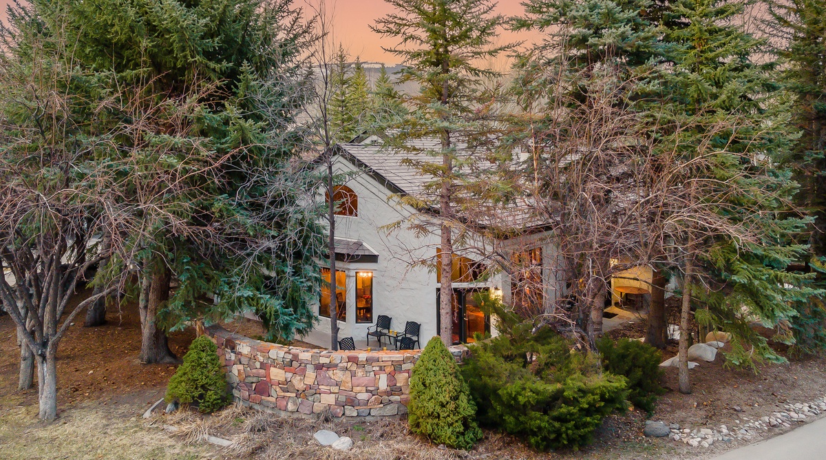 Chalet Aster
