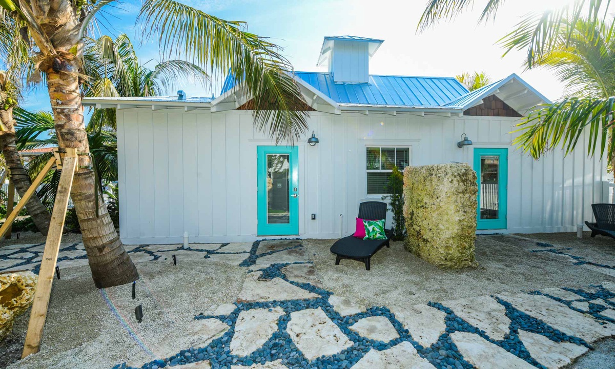 How to Find the Elusive Sand Dollar on Anna Maria Island. - Island Real  Estate Blog