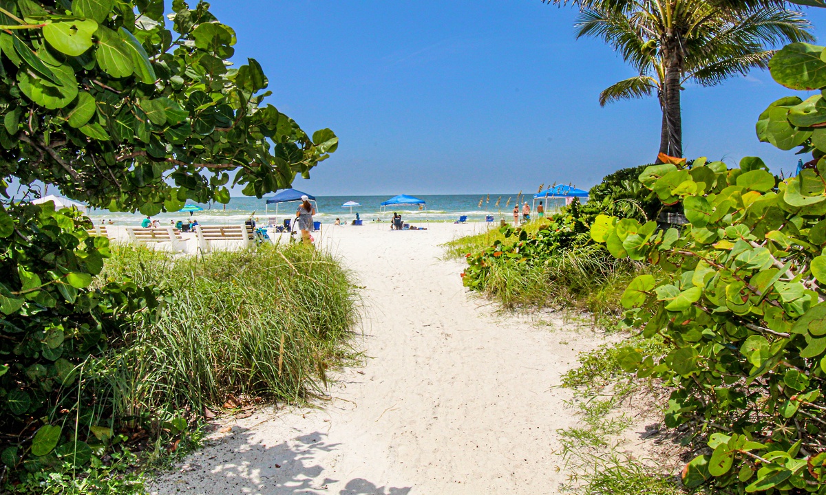 Saltwater Palms Vacation Rental in Holmes Beach,FL AMI Locals