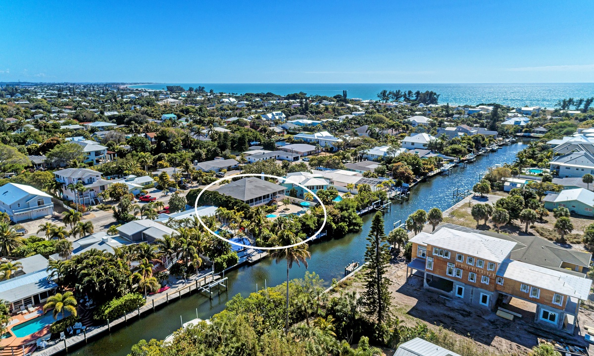 How to Find the Elusive Sand Dollar on Anna Maria Island. - Island Real  Estate Blog