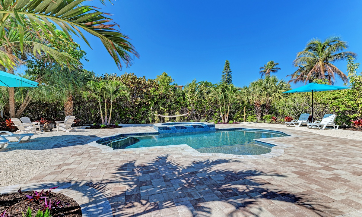 How to Find the Elusive Sand Dollar on Anna Maria Island. - Island Real  Estate Blog