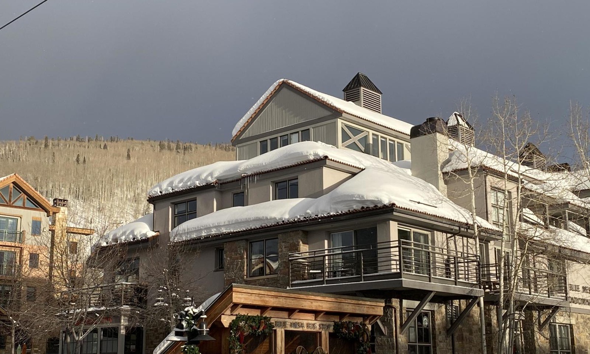 Blue Mesa 3 Blue Mesa Birds Vacation Rental in Mountain Village,CO