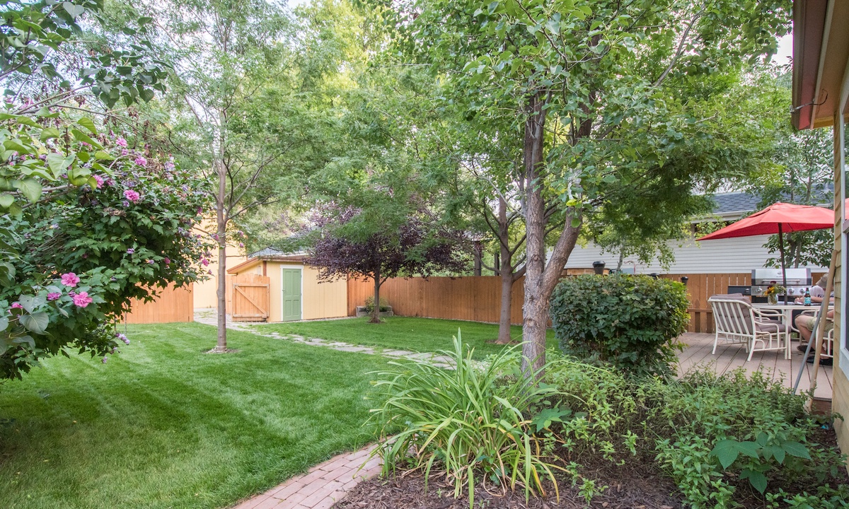 Backyard | The backyard is shared with the main level tenants