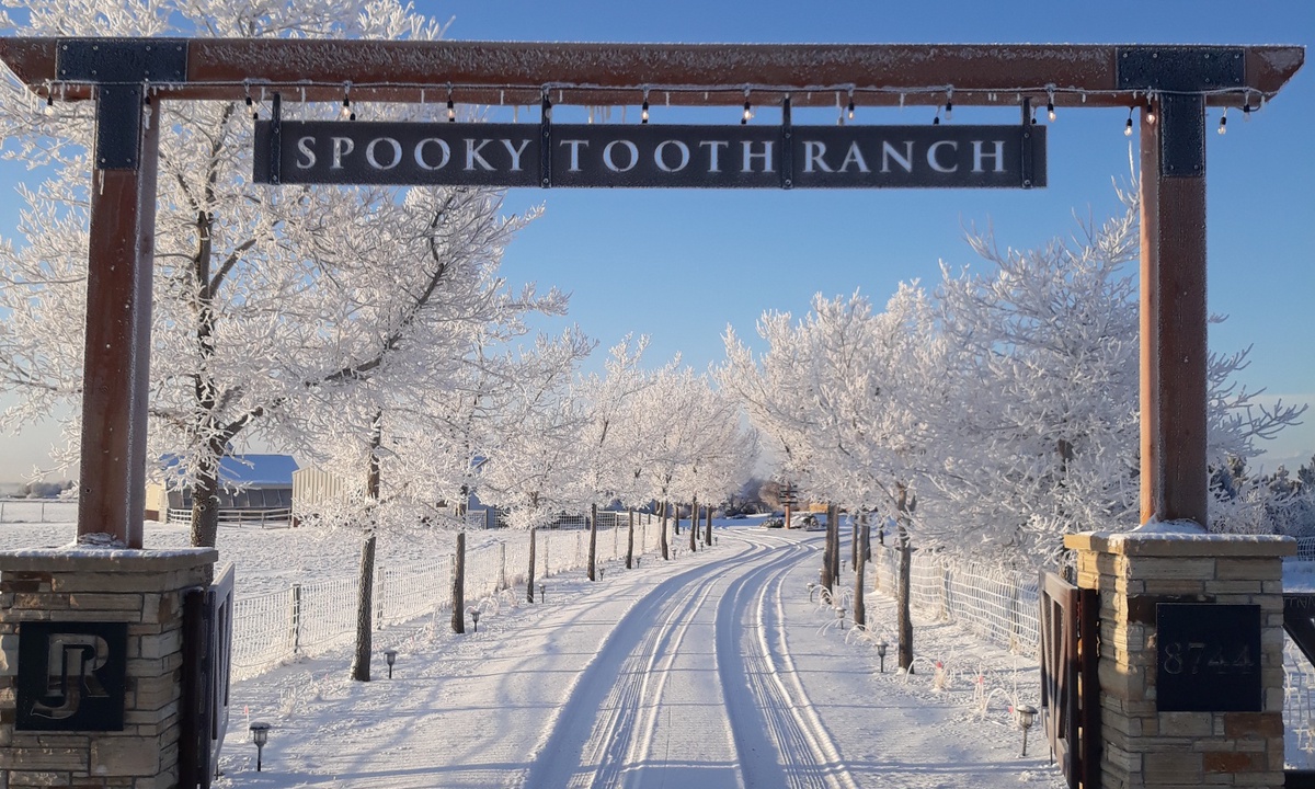 Spooky Tooth Ranch in Winter
