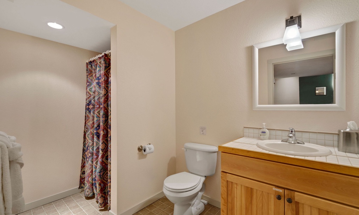 Bathroom 4 | Walk-in Shower (basement level)