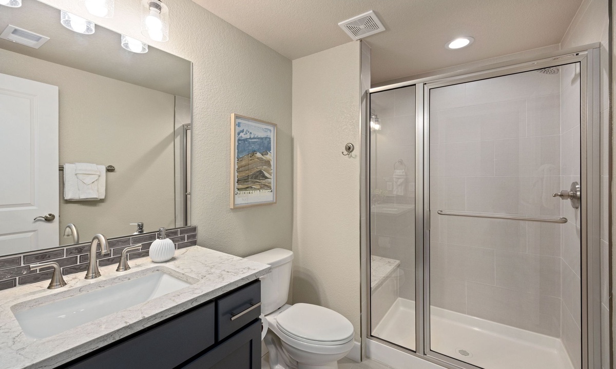Bathroom 4 | Walk-in Shower (basement level)