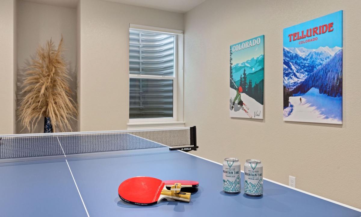 Recreation Room | Ping Pong Table (basement level)