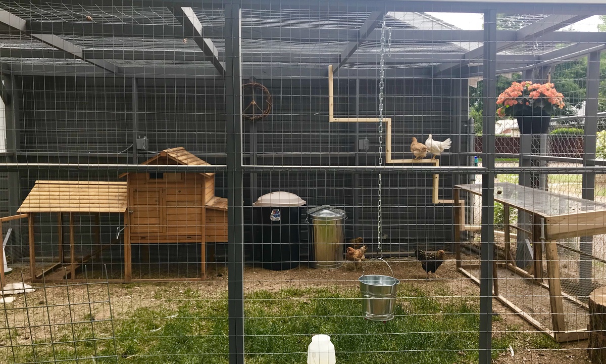 Backyard Chicken Coop | Fresh eggs provided when available!