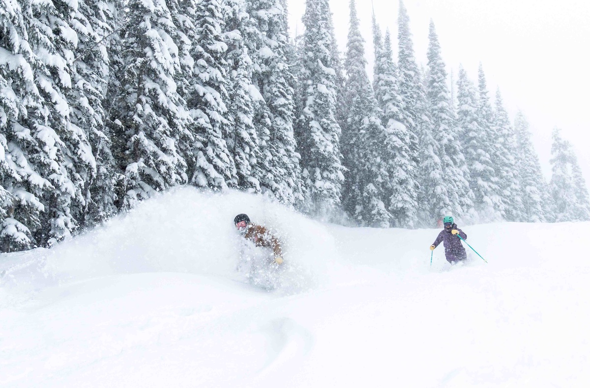 Powder Day Skiers