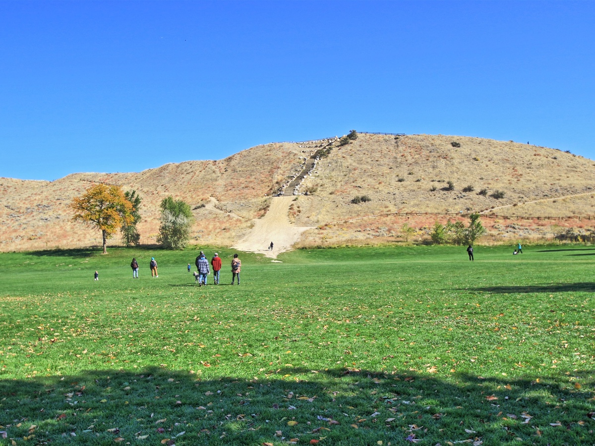 Camel Back Park C 2021