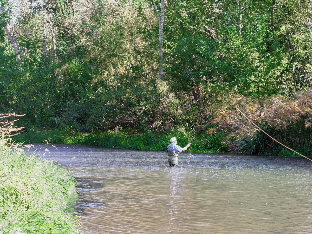 Nearby - Fishing the Boise River