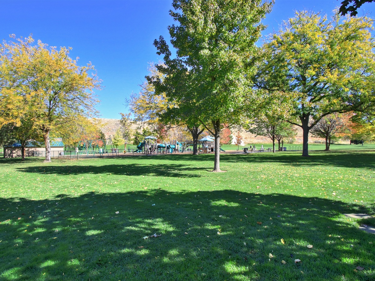 Camel Back Park 2021