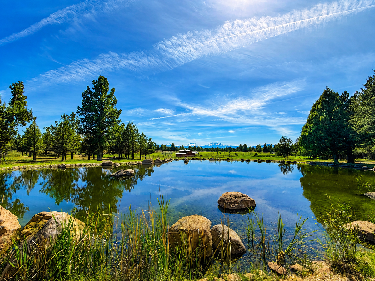 Peaceful pond surrounded by mature pines and mountain backdrop, part of the scenic natural landscape near the property.