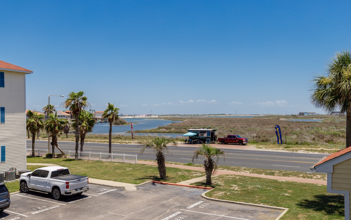 A coastal view featuring palm trees, waterfront marshlands, and the surrounding neighborhood stretching toward the horizon.
