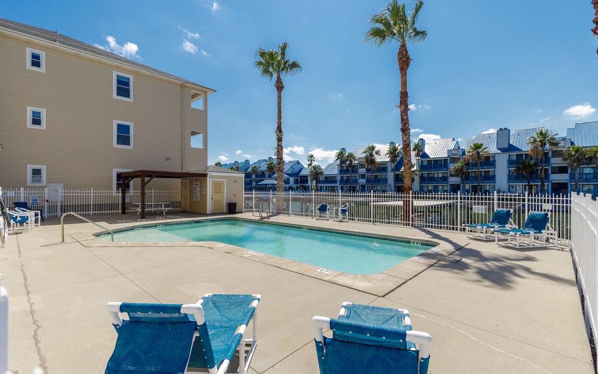 Sparkling pool deck surrounded by swaying palm trees, where you can soak up the sun on comfortable loungers.