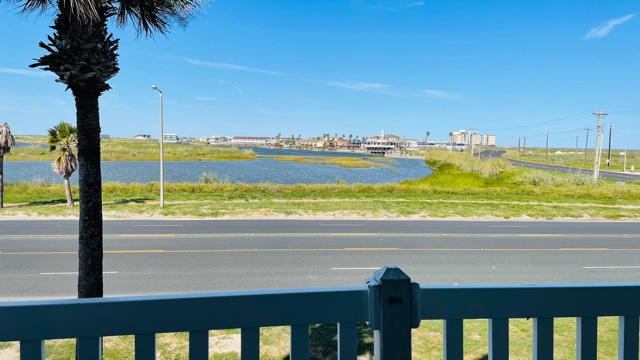 Coastal lagoon view with palm trees and distant buildings visible from the property's vantage point.