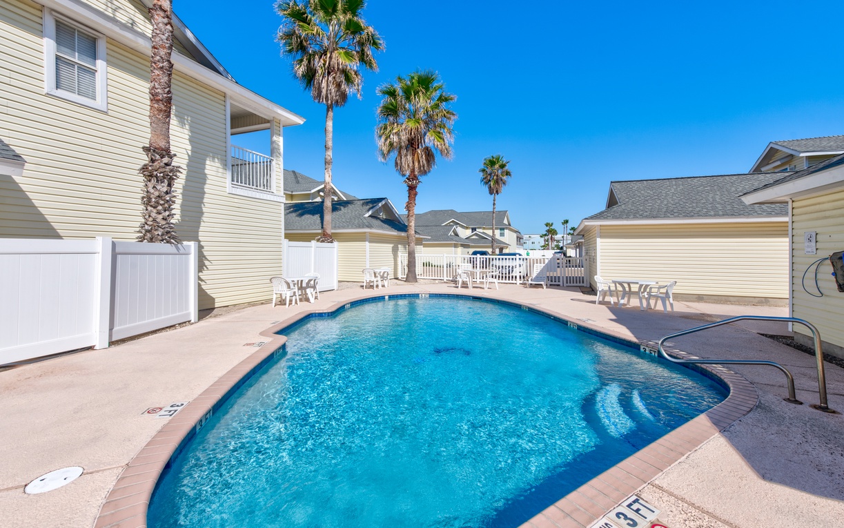 Sparkling blue pool surrounded by palm trees and comfortable seating creates the perfect sunny retreat for your coastal getaway.