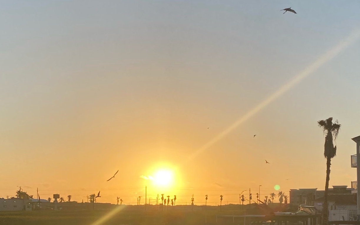 Golden sunset paints the waterfront with warm hues as seabirds soar overhead in this picturesque coastal neighborhood.