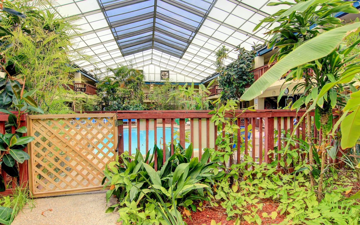 Step into your tropical indoor oasis where lush greenery and sparkling pool views create the perfect escape from everyday stress.