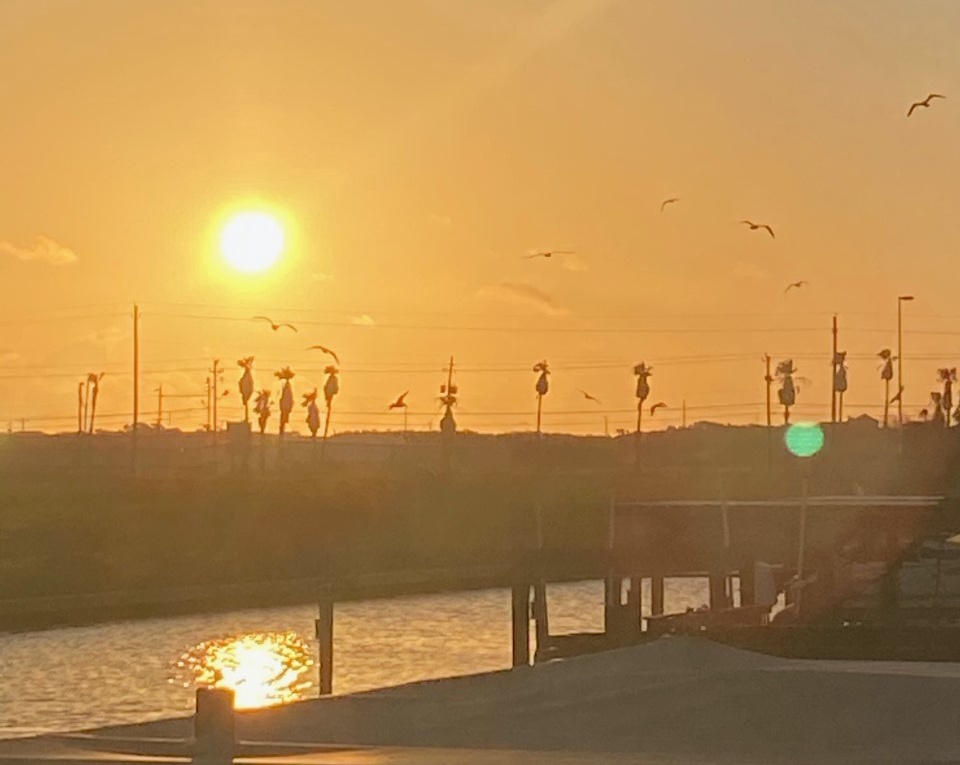 Golden sunset illuminates the waterfront pier where people gather to watch the day's end, with seabirds soaring overhead.