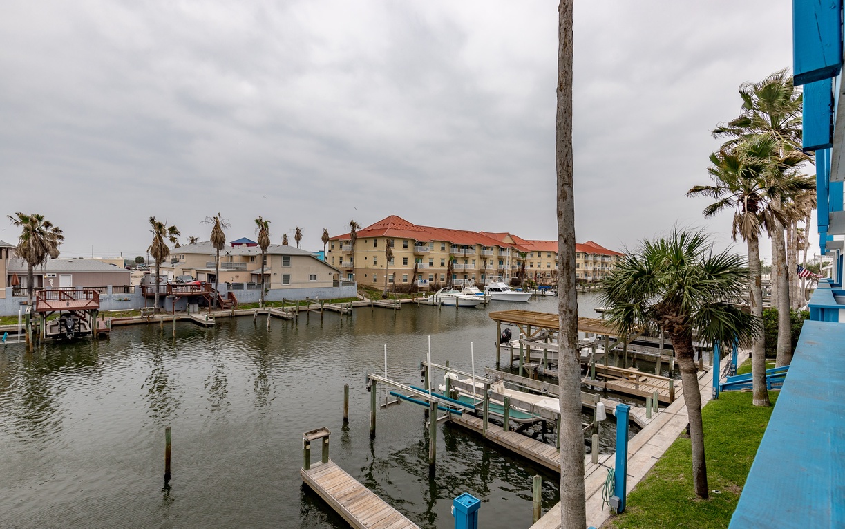 Waterfront marina view with boat slips, palm trees, and coastal buildings creating a peaceful harbor setting.