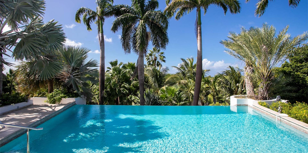 01-LesPalmiersBleus_Pool