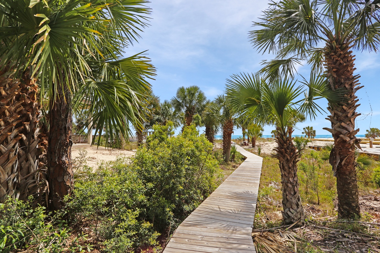 Secluded Palms